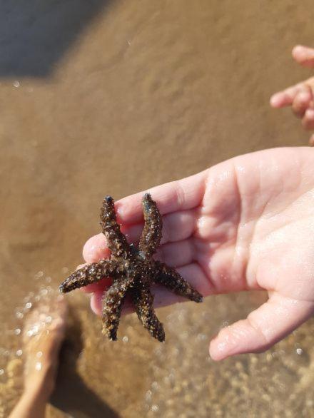 דירות אבולה Fronte Mare מראה חיצוני תמונה
